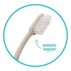 Chinchilla Zahnbürste 8 Chinchilla Zahnbürste -Camping Gluck Store M 550850 3